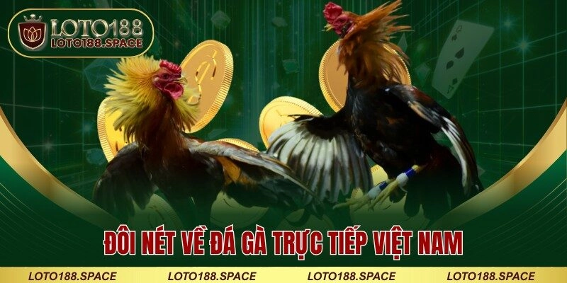 Đôi nét về đá gà trực tiếp Việt Nam